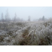 Первые заморозки