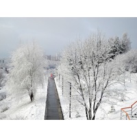 Утренняя прогулка